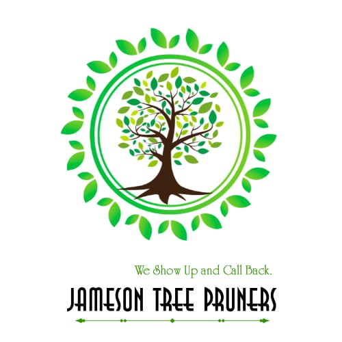 Avatar for Jameson Tree Pruning